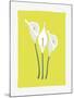 3 Lilies-FS Studio-Mounted Giclee Print