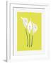 3 Lilies-FS Studio-Framed Giclee Print