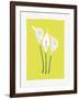 3 Lilies-FS Studio-Framed Giclee Print