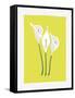 3 Lilies-FS Studio-Framed Stretched Canvas