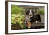 3 Month Old Bernese Mountain Dog Puppy On-null-Framed Photographic Print