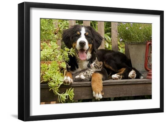 Photographic Print, , large