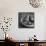 3 Pears in a Bowl BW-Tom Quartermaine-Mounted Giclee Print displayed on a wall