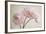 3 Pink Peonies on Light Brown-Tom Quartermaine-Framed Giclee Print