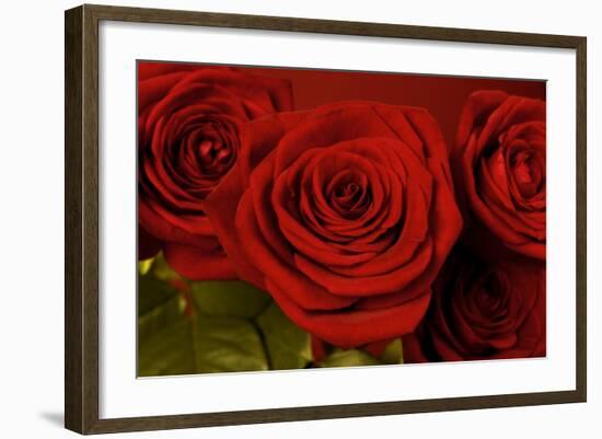 3 Red Roses-Tom Quartermaine-Framed Giclee Print