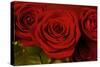 3 Red Roses-Tom Quartermaine-Stretched Canvas