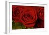 3 Red Roses-Tom Quartermaine-Framed Giclee Print