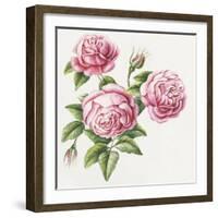 3 Roses-Janneke Brinkman-Salentijn-Framed Giclee Print