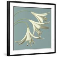 3 Snowdrops on Blue-Tom Quartermaine-Framed Giclee Print