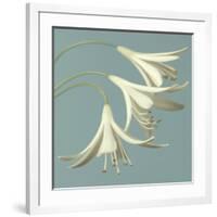 3 Snowdrops on Blue-Tom Quartermaine-Framed Giclee Print