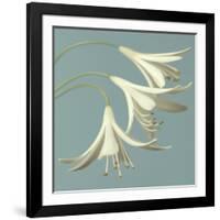 3 Snowdrops on Blue-Tom Quartermaine-Framed Giclee Print