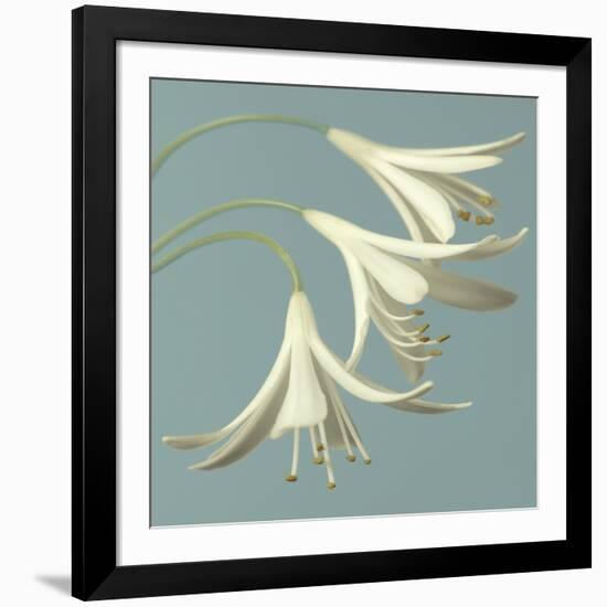 3 Snowdrops on Blue-Tom Quartermaine-Framed Giclee Print