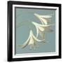 3 Snowdrops on Blue-Tom Quartermaine-Framed Giclee Print