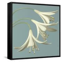 3 Snowdrops on Blue-Tom Quartermaine-Framed Stretched Canvas