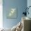 3 Snowdrops on Blue-Tom Quartermaine-Stretched Canvas displayed on a wall