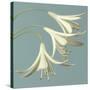 3 Snowdrops on Blue-Tom Quartermaine-Stretched Canvas