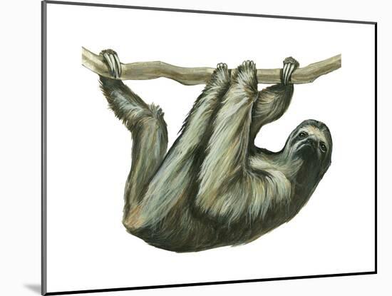 3-Toed Sloth (Bradypus Tridactylus), Mammals-Encyclopaedia Britannica-Mounted Poster