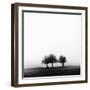 3 Trees in Fog-Rory Garforth-Framed Photographic Print