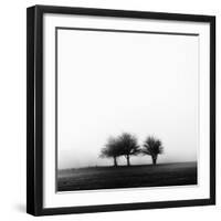 3 Trees in Fog-Rory Garforth-Framed Photographic Print