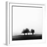 3 Trees in Fog-Rory Garforth-Framed Photographic Print