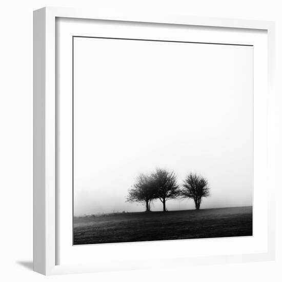 3 Trees in Fog-Rory Garforth-Framed Photographic Print