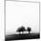 3 Trees in Fog-Rory Garforth-Mounted Photographic Print