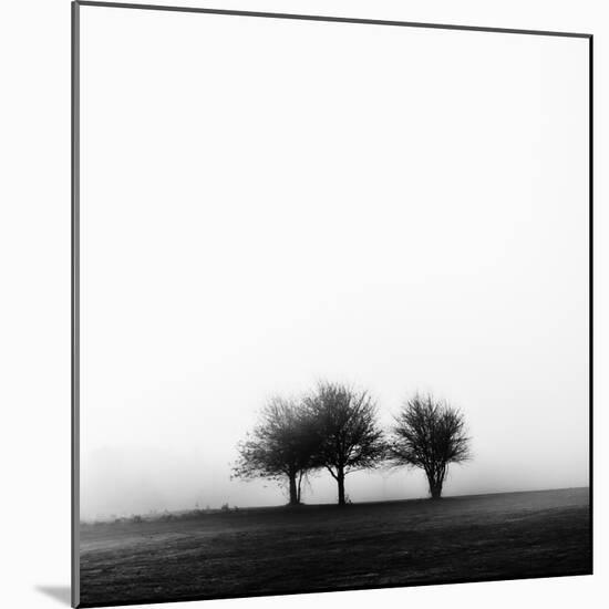 3 Trees in Fog-Rory Garforth-Mounted Photographic Print