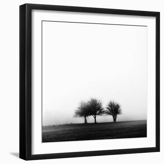 3 Trees in Fog-Rory Garforth-Framed Premium Photographic Print