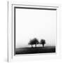 3 Trees in Fog-Rory Garforth-Framed Photographic Print