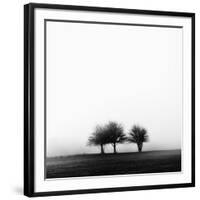 3 Trees in Fog-Rory Garforth-Framed Photographic Print