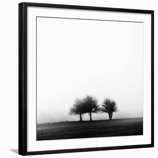 3 Trees in Fog-Rory Garforth-Framed Photographic Print