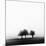 3 Trees in Fog-Rory Garforth-Mounted Photographic Print