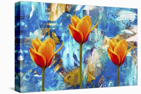 3 Tulips-Ata Alishahi-Stretched Canvas