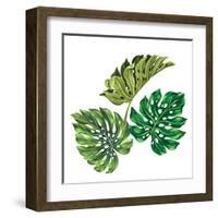 3 Vector Tropical Palm Leaves. Realistic Drawing in Vintage Style. Isolated on White. Monstera Leav-rosapompelmo-Framed Art Print