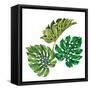 3 Vector Tropical Palm Leaves. Realistic Drawing in Vintage Style. Isolated on White. Monstera Leav-rosapompelmo-Framed Stretched Canvas