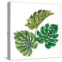 3 Vector Tropical Palm Leaves. Realistic Drawing in Vintage Style. Isolated on White. Monstera Leav-rosapompelmo-Stretched Canvas