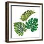 3 Vector Tropical Palm Leaves. Realistic Drawing in Vintage Style. Isolated on White. Monstera Leav-rosapompelmo-Framed Art Print