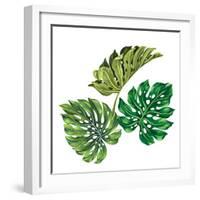 3 Vector Tropical Palm Leaves. Realistic Drawing in Vintage Style. Isolated on White. Monstera Leav-rosapompelmo-Framed Art Print