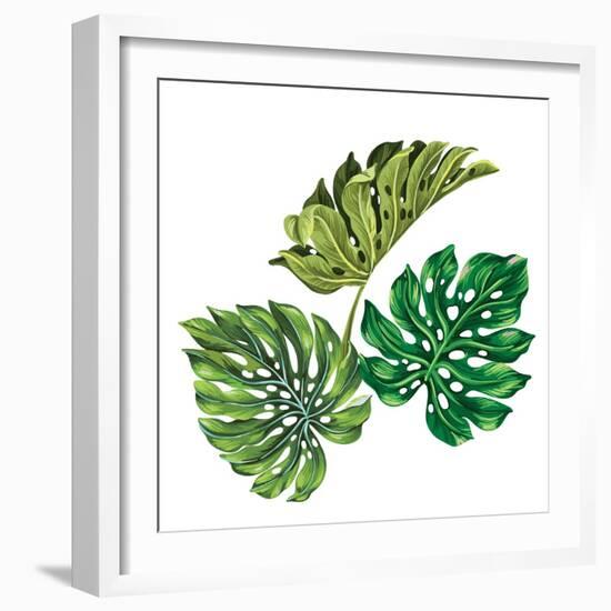 3 Vector Tropical Palm Leaves. Realistic Drawing in Vintage Style. Isolated on White. Monstera Leav-rosapompelmo-Framed Art Print