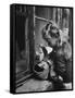 3 Year Old Child Playing with Doll on Window Sill of Apartment-Stan Wayman-Framed Stretched Canvas