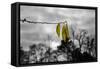 3 Yellow Leaves-null-Framed Stretched Canvas