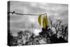 3 Yellow Leaves-null-Stretched Canvas