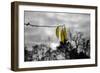 3 Yellow Leaves-null-Framed Photo