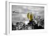 3 Yellow Leaves-null-Framed Photo