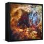 30 Doradus in Ultraviolet, Visible, and Red Light-null-Framed Stretched Canvas