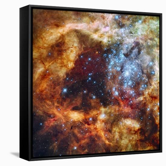 30 Doradus in Ultraviolet, Visible, and Red Light-null-Framed Stretched Canvas