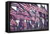 3000 US Flags for 9/11-Joseph Sohm-Framed Stretched Canvas