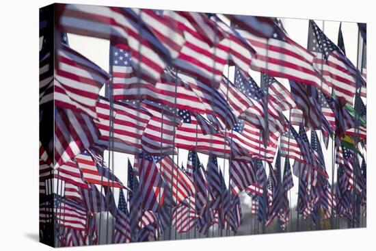 3000 US Flags for 9/11-Joseph Sohm-Stretched Canvas