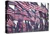 3000 US Flags for 9/11-Joseph Sohm-Stretched Canvas