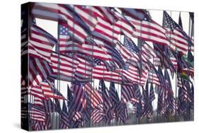 3000 US Flags for 9/11-Joseph Sohm-Stretched Canvas